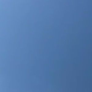 Meet your Posher, Elodia